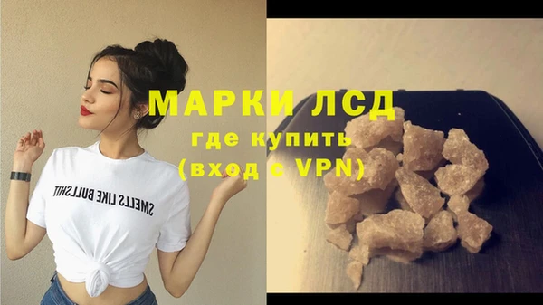 прущие грибы Михайловск