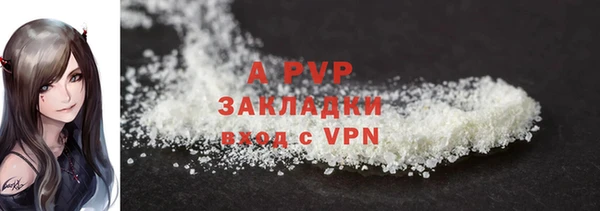 прущие грибы Михайловск