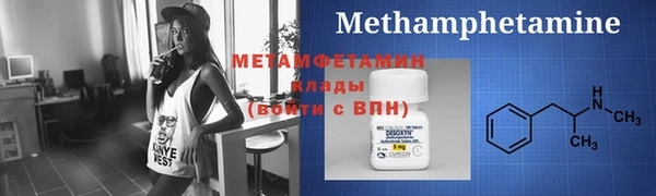 прущие грибы Михайловск