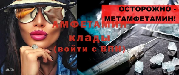 прущие грибы Михайловск