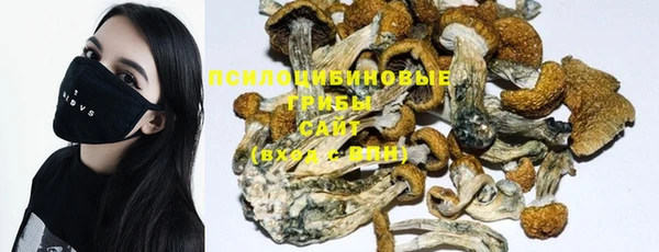 мескалин Михайлов
