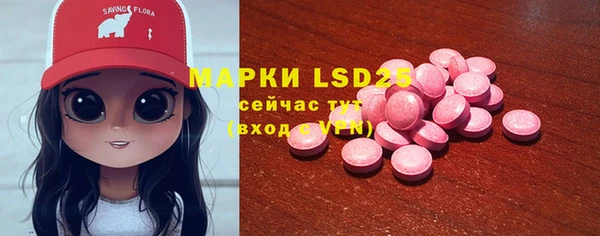 прущие грибы Михайловск